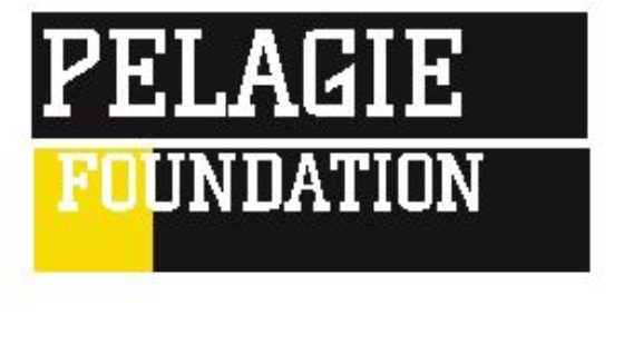 Pelagie Foundation - Georgia  - Mission Finder